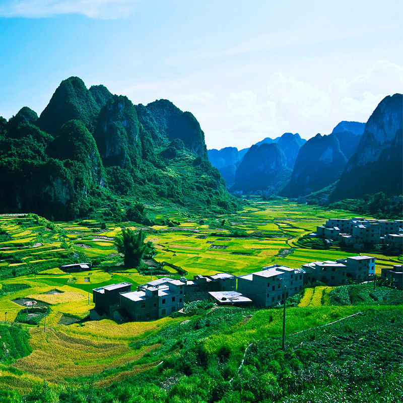 广西+巴马+崇左+4天3晚跟团游+0购物+德天瀑布/通灵大峡谷/百鸟岩