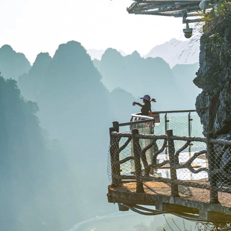 2-8人私家团 广西德天瀑布明仕田园全景1日游 可选崇左或南宁起止