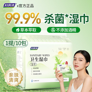 
Fuyan Jie Wormwood Sanitary Wipes Women's Menstrual Care Private Parts Sterilization Cleaning Wet Toilet Paper Portable Antibacterial No-Wash