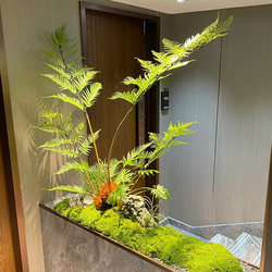 Simulated Monkey Head Fern Zen-Style Landscaping Green Plant Imitation Golden Silk Fern Indoor Floor-Standing Window Soft Decoration Micro-Landscape Decorative Plant