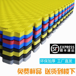 Taekwondo Floor Mat Professional Thickened Home Martial Arts Fighting Sparring Boxing Foam Training Mat
