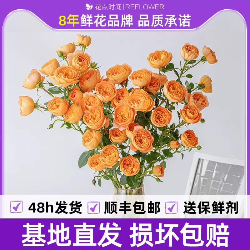 REFLOWER 花点时间 单头玫瑰随机色10枝鲜花 天猫优惠券折后￥19.9顺丰包邮（￥34.9-15）