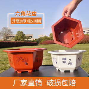 
Hexagonal flower pot red and white extra-large green ivy succulent thickened plastic pot planting bonsai flower pot planting cauliflower pot