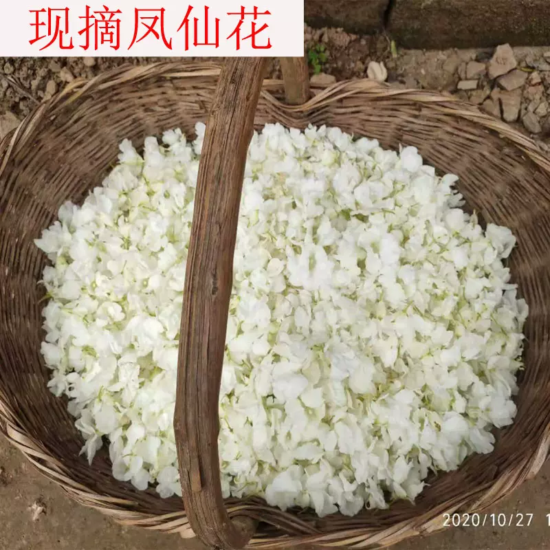 白色鳳仙花瓣新鮮現摘整朵泡醋打漿種子染指甲草花植物