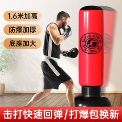 Tumbler Punching Bag for Home Use, Boxing Training Equipment for Adults and Children, Fitness Reaction Ball, Dodge and Strike Column, Inflatable