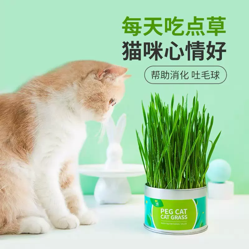 佩格小猫铁憨憨懒人猫草去毛球猫草栽培套装可种2次满58包邮 Taobao
