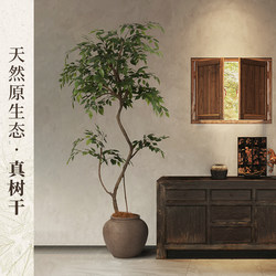 Haohong Yalin Artificial Green Plant, High-End Light Luxury Fake Banyan Tree, Indoor Mid-Century Song-Style Living Room, Simulated Floor-Standing Potted Plant