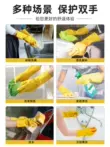 Găng tay rửa chén cho nữ làm bếp bằng cao su latex bền đẹp, rửa bát, giặt quần áo, cao su, giúp việc nhà, lau chùi và chống thấm nước Y1 bao tay y tế có bột Găng tay cao su