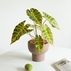 Na home flower room countertop model simulated green plant home decoration