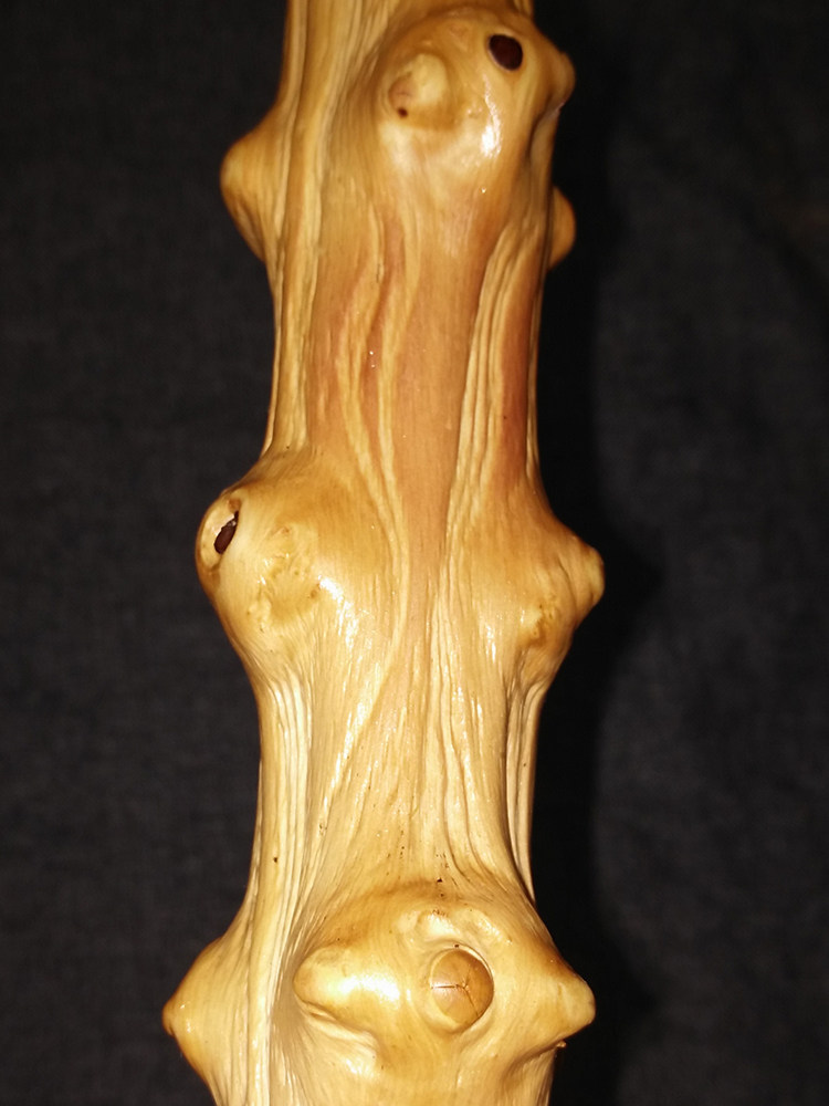 创意 多功能天然对节木-爱种草的小能手