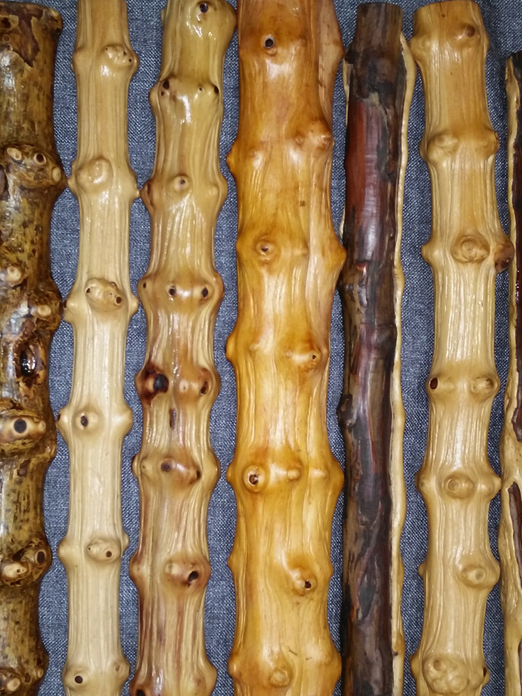 创意 多功能天然对节木-爱种草的小能手