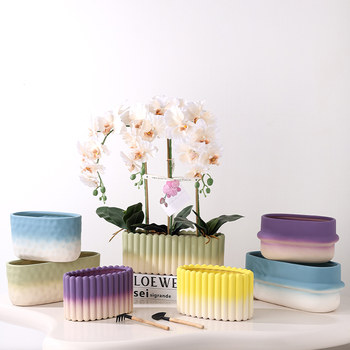 Dopamine-burning Phalaenopsis flower pot ceramic New Year's flower office with holes and oblong single plant group pot