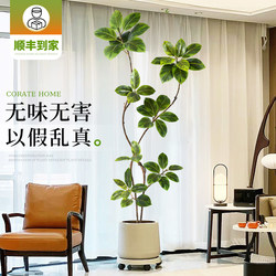 Simulated Green Plant Golden Banyan High-End Light Luxury Living Room Artificial Flower Large Floor-Standing Decorative Ornament Potted Fake Plant Tree