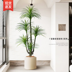 Dragon Blood Tree Artificial Plant for Sofa Side, Light Luxury High-End Indoor Decoration, Large Floor-Standing Potted Plant, Simulated Plant