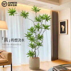 Nordic ins Style Floor-Standing Bionic Green Plant Artificial Plant Potted Lily Bamboo Indoor Living Room Fake Tree Decorative Ornament