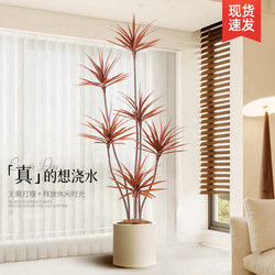 Artificial Green Plants, Fake Plants, Light Luxury Living Room Decorative Trees, Indoor Large Potted Dragon Blood Tree Floor-Standing Ornaments, Artificial Flowers