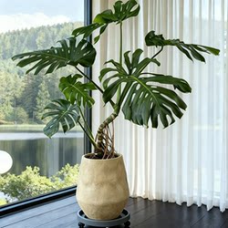 High-End Light Luxury Monstera Artificial Green Plant for Living Room Indoor Accommodation Large Decorative Fake Plant Floor-Standing Ornament