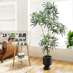 Simulated Green Plants, High-End Light Luxury Peacock Wood, Antique-Style Living Room Indoor Artificial Green Plants, High-End Realistic Ornaments
