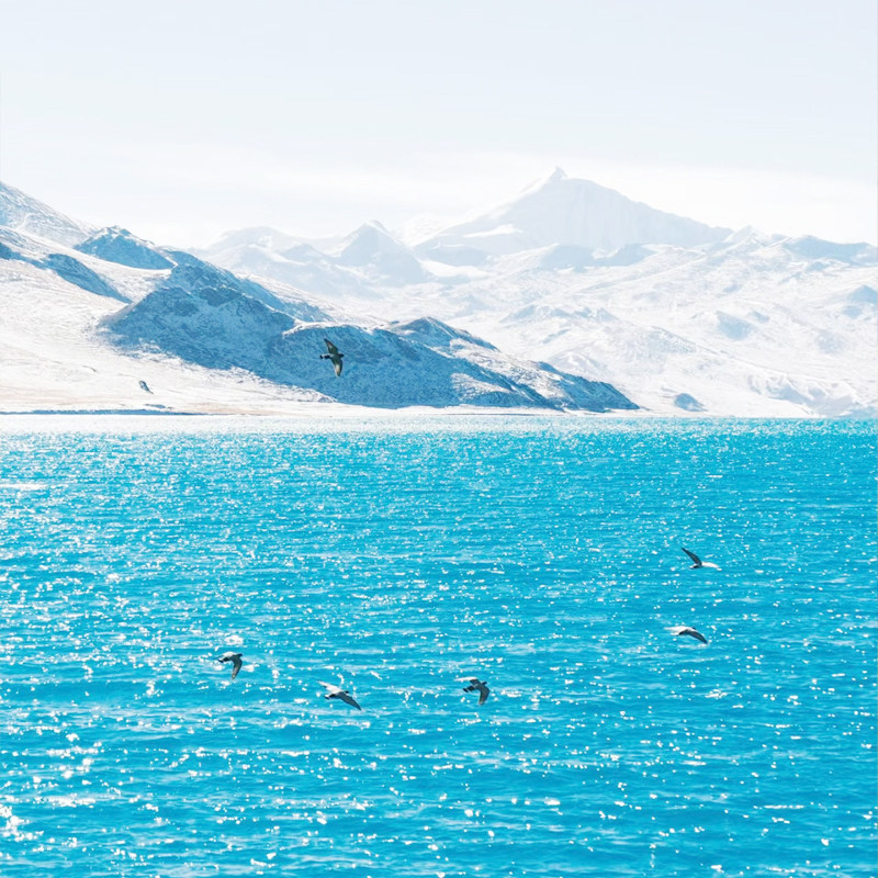 2-6人纯玩小团|西藏旅游拉萨珠峰大本营四日游羊湖纳木错4天3晚游