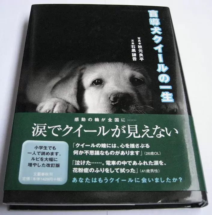 二手日文原版宠物物语*导盲犬小Q的一生盲導犬クイールの一生-Taobao