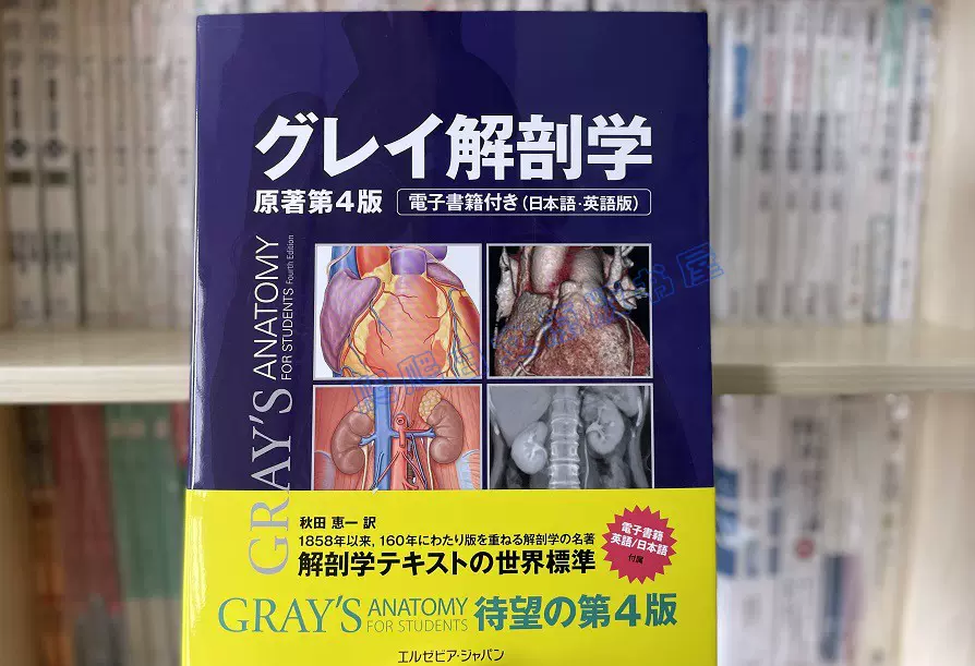 全款グレイ解剖学原著第4版解剖医学书籍大型本日文原版-Taobao