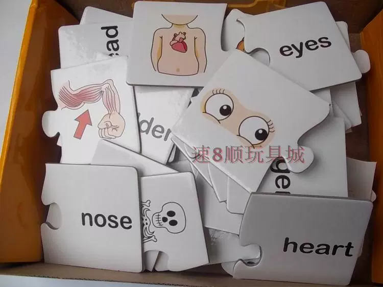 人体部位拼英文单词图游戏总60个拼块 可学习30个