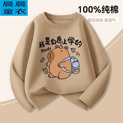 Kapibala Boys' Long-Sleeved 2025 Children's Pure Cotton Loungewear Tops Boys' Clothing Casual Sports Children's Wear