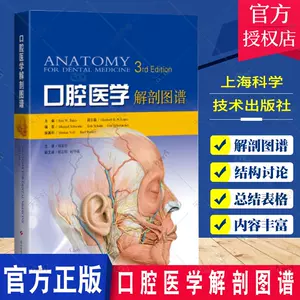 口腔解剖学图谱- Top 500件口腔解剖学图谱- 2024年5月更新- Taobao