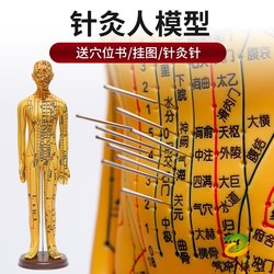 Traditional Chinese Medicine Acupuncture Point Human Body Model Teaching Model of the Whole Body Twelve Meridians Diagram Small Soft Rubber Model for Acupuncture Practice