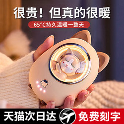 Hand Warmer Rechargeable Warm Pad for Girls and Friends 2025 New Model Christmas Birthday Gift Magic Device Two-In-One Hot Water Bottle