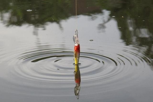 冬釣鯽魚有4個關鍵詞掌握了釣魚不再愁