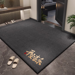 Entrance Door Mat 2026 New Model High-End Non-Slip Dirt-Resistant Foyer Carpet Outdoor Foot Mat Entryway Doormat