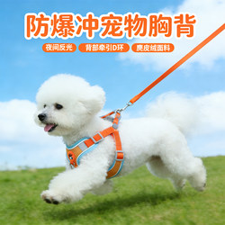 Dog Leash Vest-Style Pet Harness Dog Walking Leash for Small and Medium-Sized Dogs Like Shiba Inu, Corgi, Bichon, and Teddy