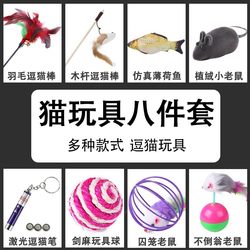 Cat Toy Set Self-Entertainment Laser Cat Teaser Stick Kitten Toys Pet Feather Kitten Supplies Collection