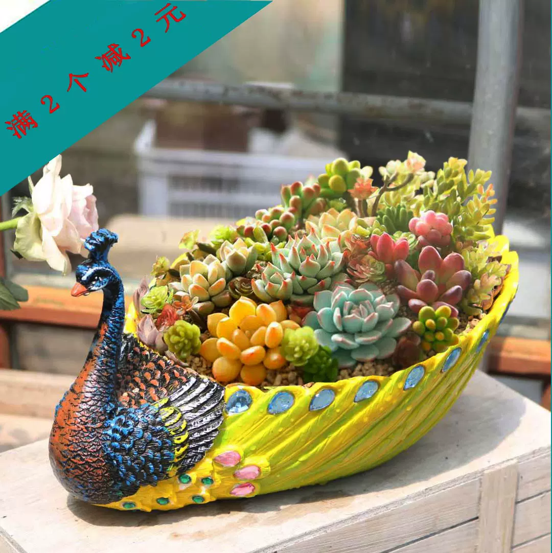 孔雀大號塑料陶瓷多肉花盆創意黃金葛拼盤植物個性組合盆栽樹脂花器-Taobao