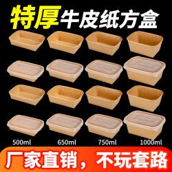 Disposable Lunch Boxes, Microwaveable, Rectangular Take-Out Boxes, Food-Grade Salad Boxes, Biodegradable Picnic Boxes