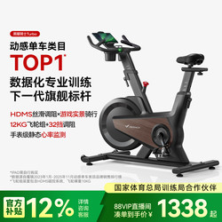 Merrick Spinning Bike for Home Use, Silent Indoor Exercise Bike, Fitness Equipment for Weight Loss, Obsidian Knight