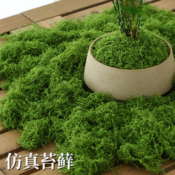 Simulated Moss Turf, Bionic Artificial Fake Moss, Micro-Landscape Arrangement, Lawn, Bonsai, Potted Plant, Pavement Landscaping