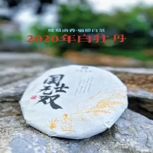 白牡丹 7680 老白茶餅 白牡丹 - 福鼎白茶(357g) 中国茶葉 餅茶