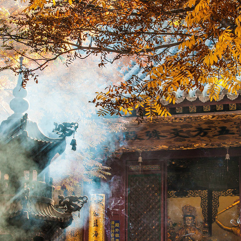 五台山一日游 升级头等舱小团 太原到山西五台山旅游含门票