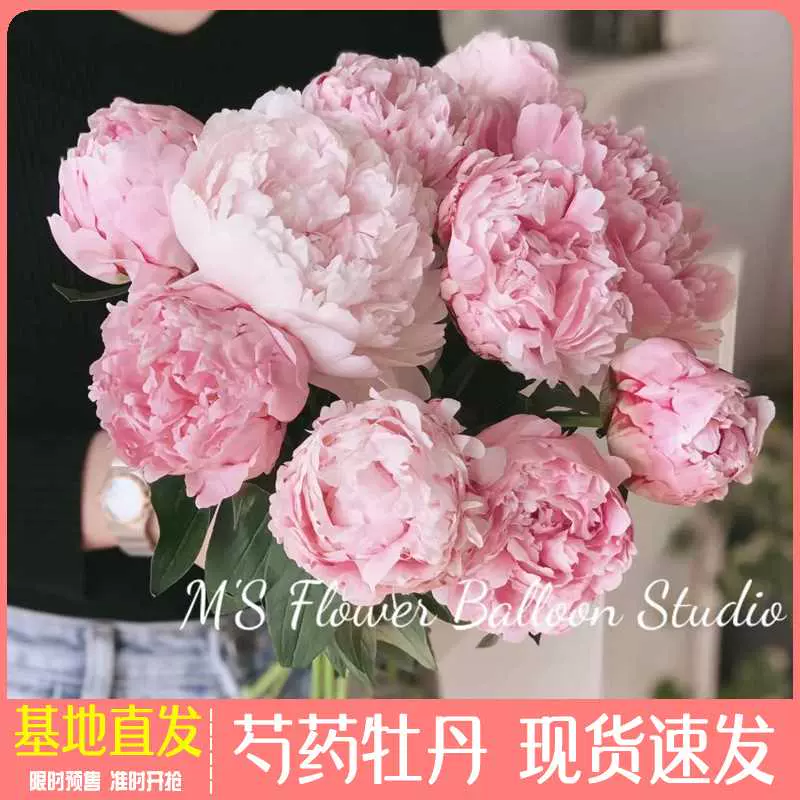 牡丹鲜花重瓣花束芍药鲜切花云南基玫瑰百合插花卉山东四川