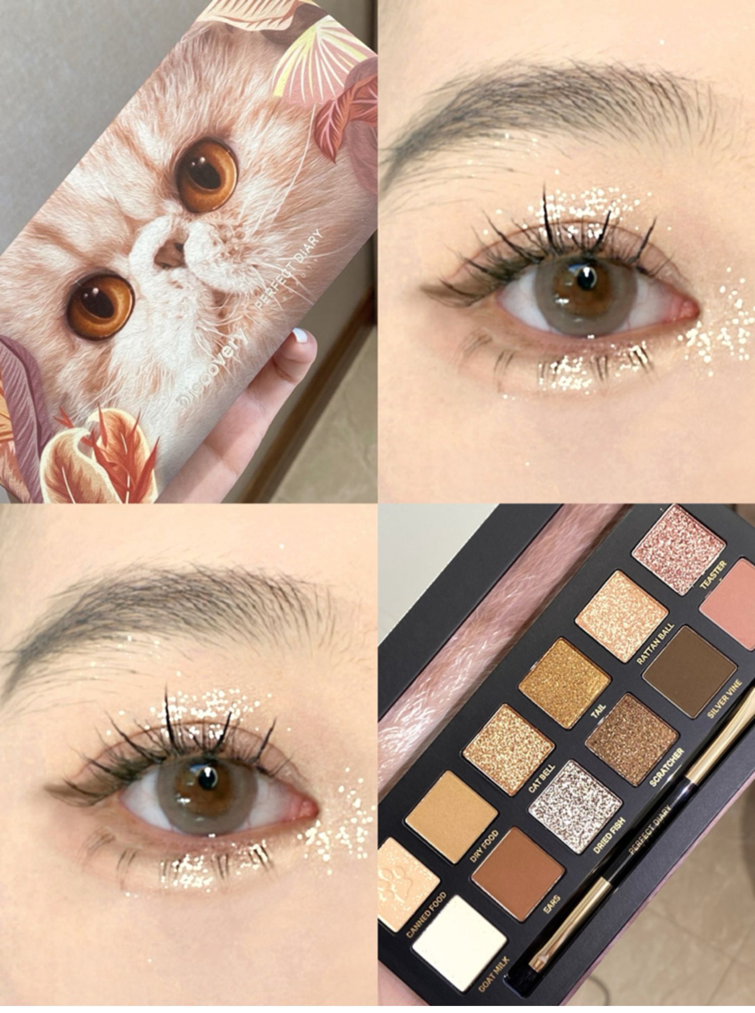 PERFECT DIARY 子豚➕赤狐➕猫 Amazon | PERFECT DIARY 動物12色アイシャドウセット 猫&赤狐