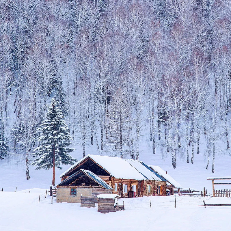 【喀韵深游】喀纳斯、禾木、白哈巴、西北第一村石碑6日游