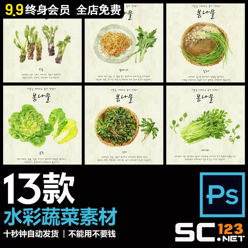 手绘水彩psd分层插画蔬菜芹菜香菜青菜白菜野菜蒜苗复古背景素材