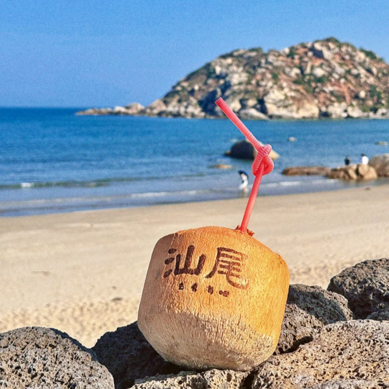 汕尾一日游【2-6人私家团】红海湾+风车岛+海上古堡+后澳玻璃海