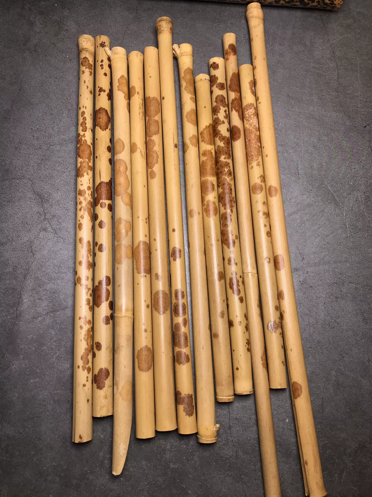 红湘妃竹节竹料0.9-1.1香妃香筒折扇竹段样品花斑竹毛笔杆斑竹