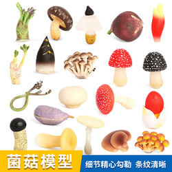 Simulated Mushroom Model, Pretend Play Vegetable Props, Early Education Children's Toys, Bamboo Shoots, Poisonous Rope Umbrella, Matsutake Ornaments