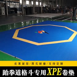 Taekwondo Floor Mat Fighting Sanda Roll Mat Professional Dance Wrestling Martial Arts Fitness Non-Slip Thickened Roll Mat