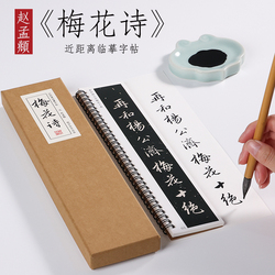 Zhao Mengfu's "plum Blossom Poems" Of The Yuan Dynasty. Zhao Mengfu's Running Script And Brush Calligraphy. Yuan Da Yuan's Inscriptions On Stele And Inscriptions. Complete Works. Beginners And Adults. Beginners' Introductory Practice. Close Copy