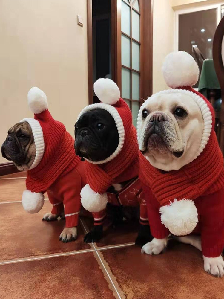 狗狗圣诞搞笑头套围巾